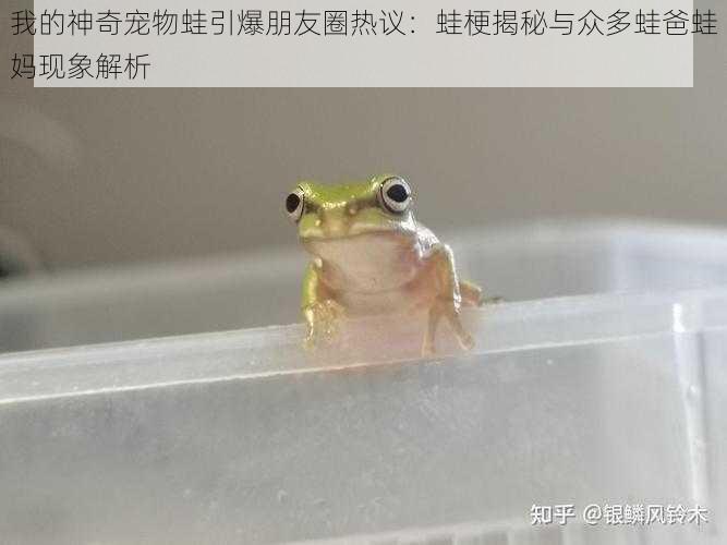 我的神奇宠物蛙引爆朋友圈热议:蛙梗揭秘与众多蛙爸蛙妈现象解析