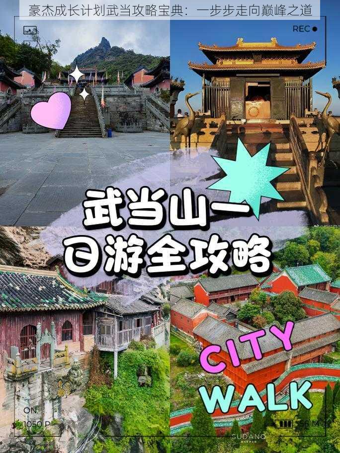 豪杰成长计划武当攻略宝典:一步步走向巅峰之道