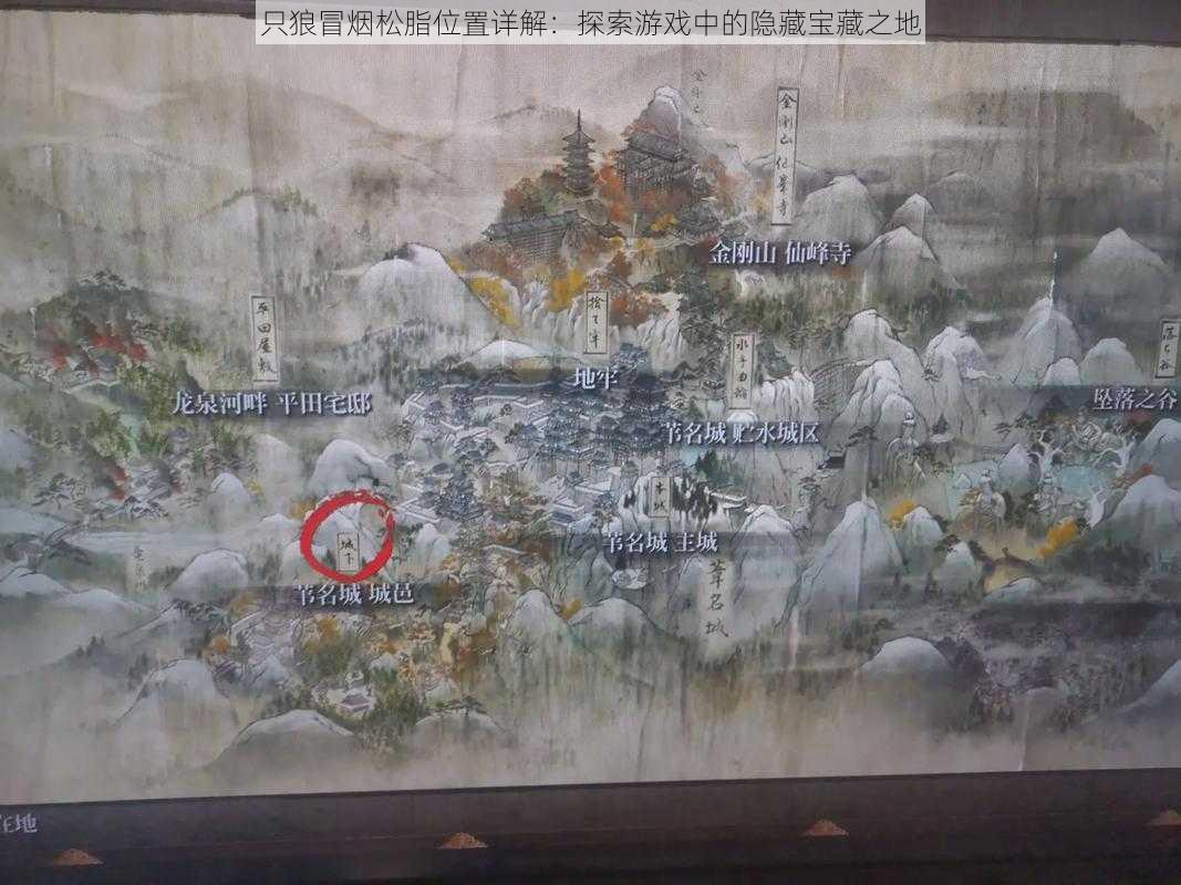 只狼冒烟松脂位置详解:探索游戏中的隐藏宝藏之地